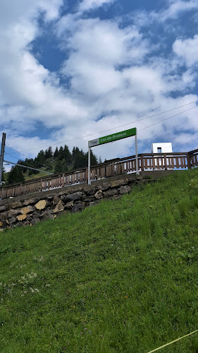 Comentarii opinii despre Bretaye 1808