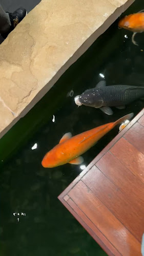 Opinii despre Angkor în Zürich - Gastronomie und Hotellerie