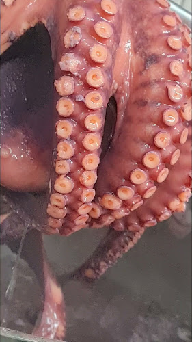 Comentarii opinii despre Jamm Bell Art of Napoli food