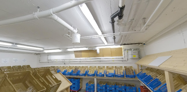 Opinii despre Feinbäckerei Guggenloch AG în Au - Gastronomie und Hotellerie