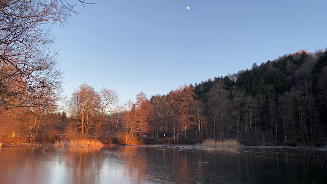 Restaurant 3 Linden - St. Gallen