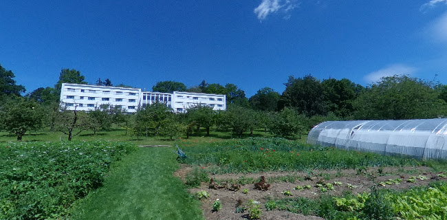 Restaurant Le Jardin - Villars-sur-Glâne