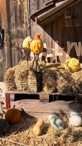 Comentarii opinii despre Juckerhof, Jucker Farm AG