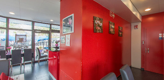 Opinii despre Asia Express Yverdon în Yverdon-les-Bains - Gastronomie und Hotellerie