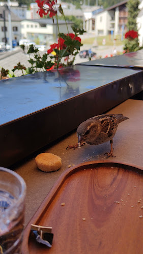 Cafe Aurora - Gastronomie und Hotellerie