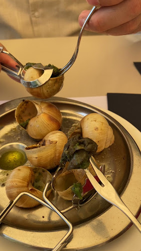 Opinii despre Brasserie de Montbenon în Lausanne - Gastronomie und Hotellerie