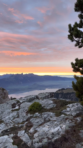Berghaus Niederhorn - Gastronomie und Hotellerie