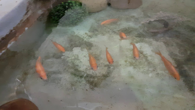 Im Meierhof 7, 4600 Olten