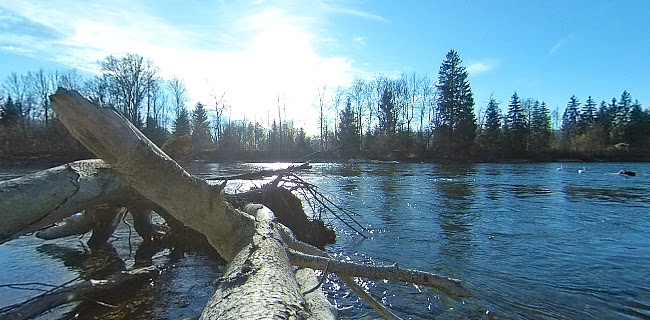 Restaurant Jägerheim