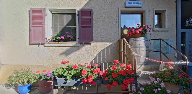 Opinii despre Restaurant Pierreberg în Delsberg - Gastronomie und Hotellerie