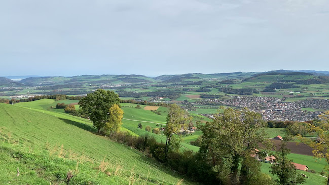 Opinii despre Panorama Restaurant Chutze în Belpberg - Gastronomie und Hotellerie