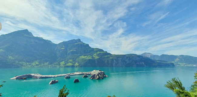 Comentarii opinii despre Restaurant Tellsplatte