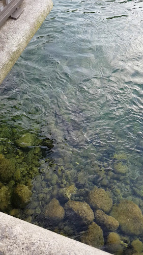 01 - Bar - Restaurant