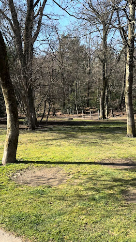 Opinii despre Snack Bar Parsifal în Ascona - Gastronomie und Hotellerie