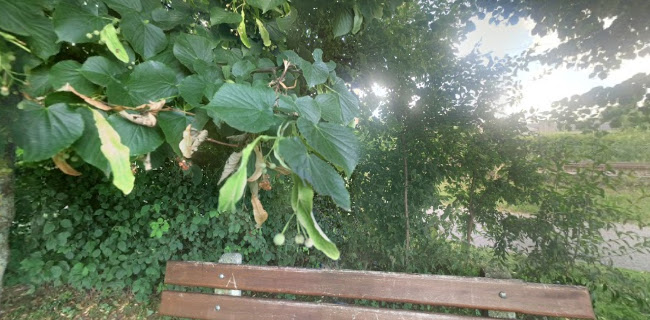 Opinii despre Tennishalle Burgdorf AG în Burgdorf - Gastronomie und Hotellerie