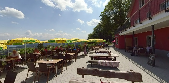 Felsenegg 1, 8143 Stallikon