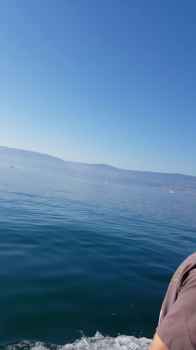 Opinii despre La Voile în Neuchâtel - Gastronomie und Hotellerie