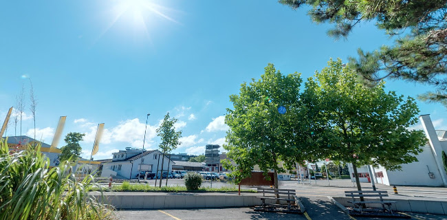 Comentarii opinii despre Baragge