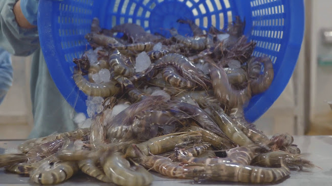 El Pescador - The Fish Market - Gastronomie und Hotellerie