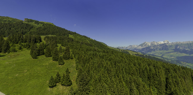 Opinii despre Hotel | Restaurant Berghaus Malbun Buchserberg în Buchs - Gastronomie und Hotellerie