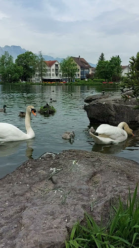 Galerie am See - Gastronomie und Hotellerie