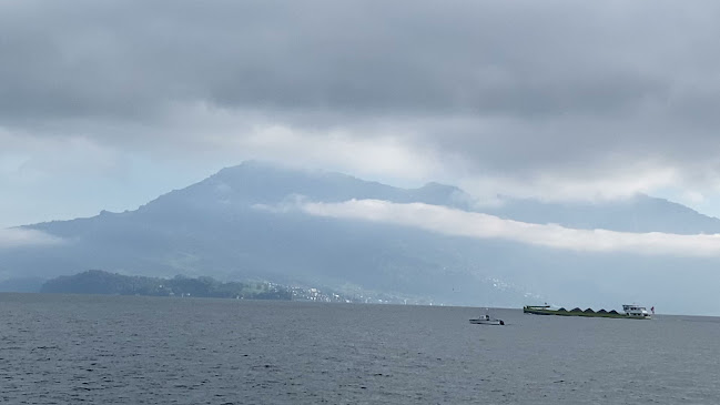 Opinii despre Roadhouse Luzern AG în Luzern - Gastronomie und Hotellerie