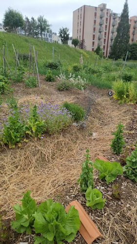 Comentarii opinii despre Le Döner Kebab-Pizza