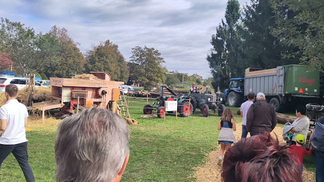 Landvogteimarkt Grüningen - Grüningen