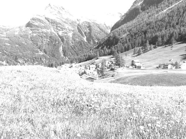 Bäckerei-Tea-Room Arnold