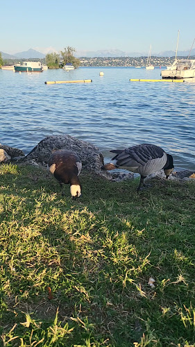 Comentarii opinii despre Restaurant du Creux-de-Genthod