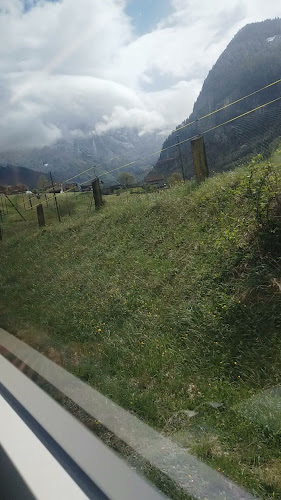 Opinii despre Burger King în Biel - Gastronomie und Hotellerie