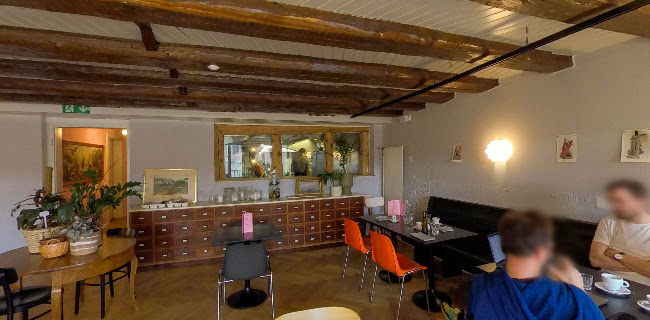 Comentarii opinii despre cocotte