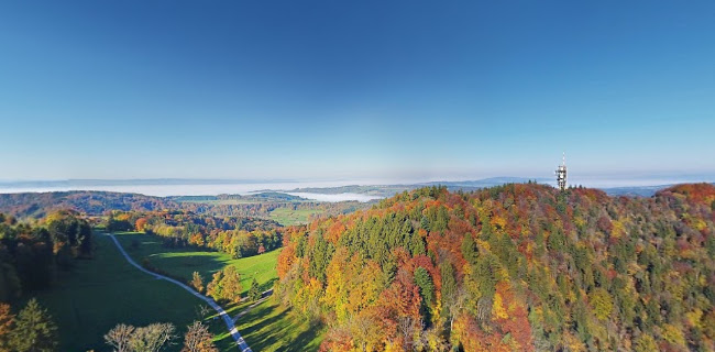Restaurant Felsenegg - Gastronomie und Hotellerie