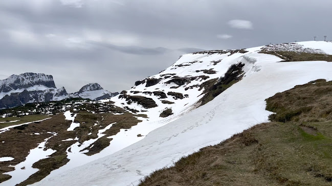 Berggasthaus Gamsalp - Gastronomie und Hotellerie