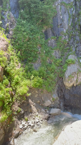 Fiesta Bar, Dany Manta