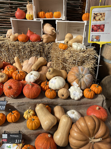 Lord of Kebab GmbH - Lyss