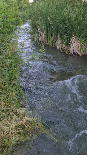 Opinii despre Altstadt Pizzeria zur Mühle în Sursee - Gastronomie und Hotellerie