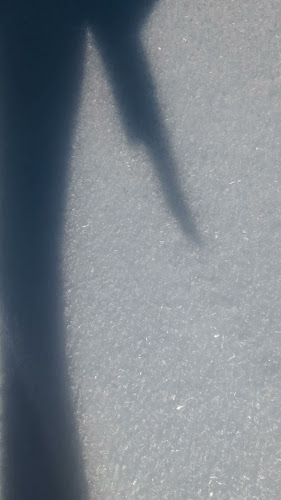 Comentarii opinii despre Hôtel-Restaurant du Crêt