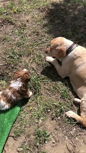 La Ferme des Brandt - La Chaux-de-Fonds