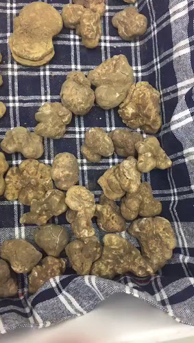 Osteria Restaurant Schwanen