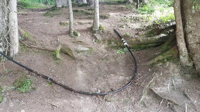 Ämpächli, 8767 Elm