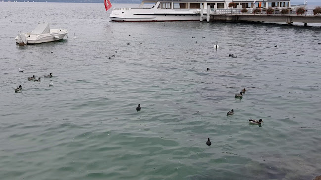 O' Les Terrasses du Lac - Restaurant - Nyon