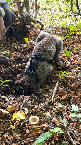 Restaurant Dentenberg