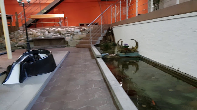 Opinii despre Café Hallenminigolf în Olten - Gastronomie und Hotellerie