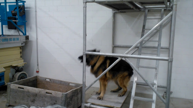 Restaurant Hirschen - Flawil