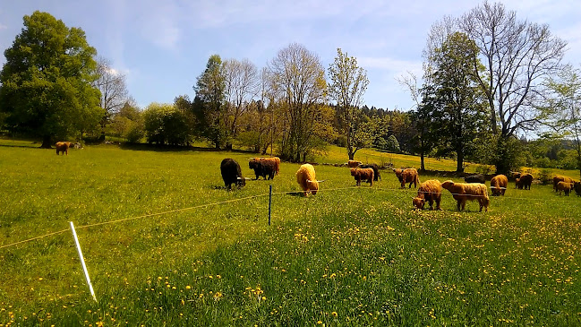 Opinii despre La Ferme des Brandt în La Chaux-de-Fonds - Gastronomie und Hotellerie