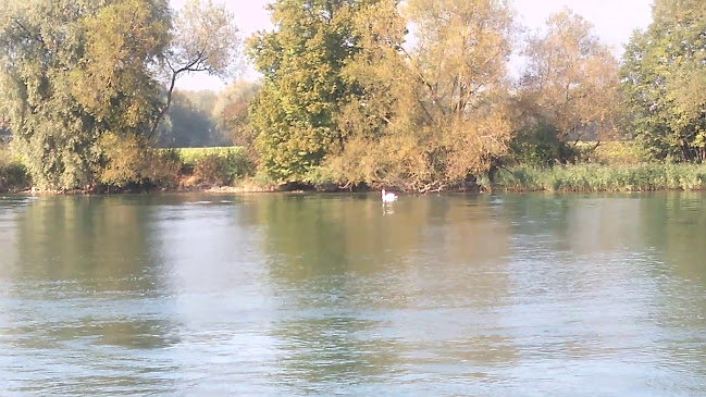 Ländte 38, 3294 Büren an der Aare