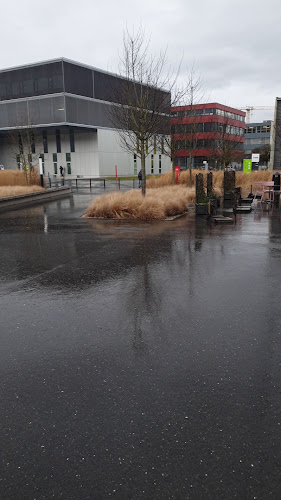 Comentarii opinii despre Y-Parc