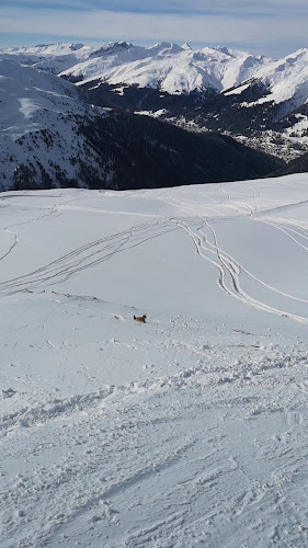 Opinii despre Mäderbeiz Pischa în Davos - Gastronomie und Hotellerie