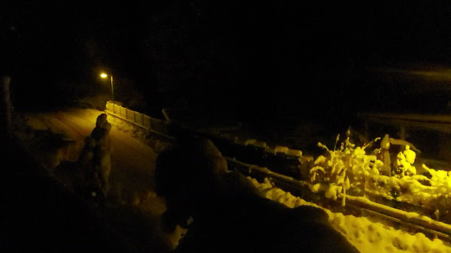 Opinii despre Restaurant Les Bains în Val-d'Illiez - Gastronomie und Hotellerie